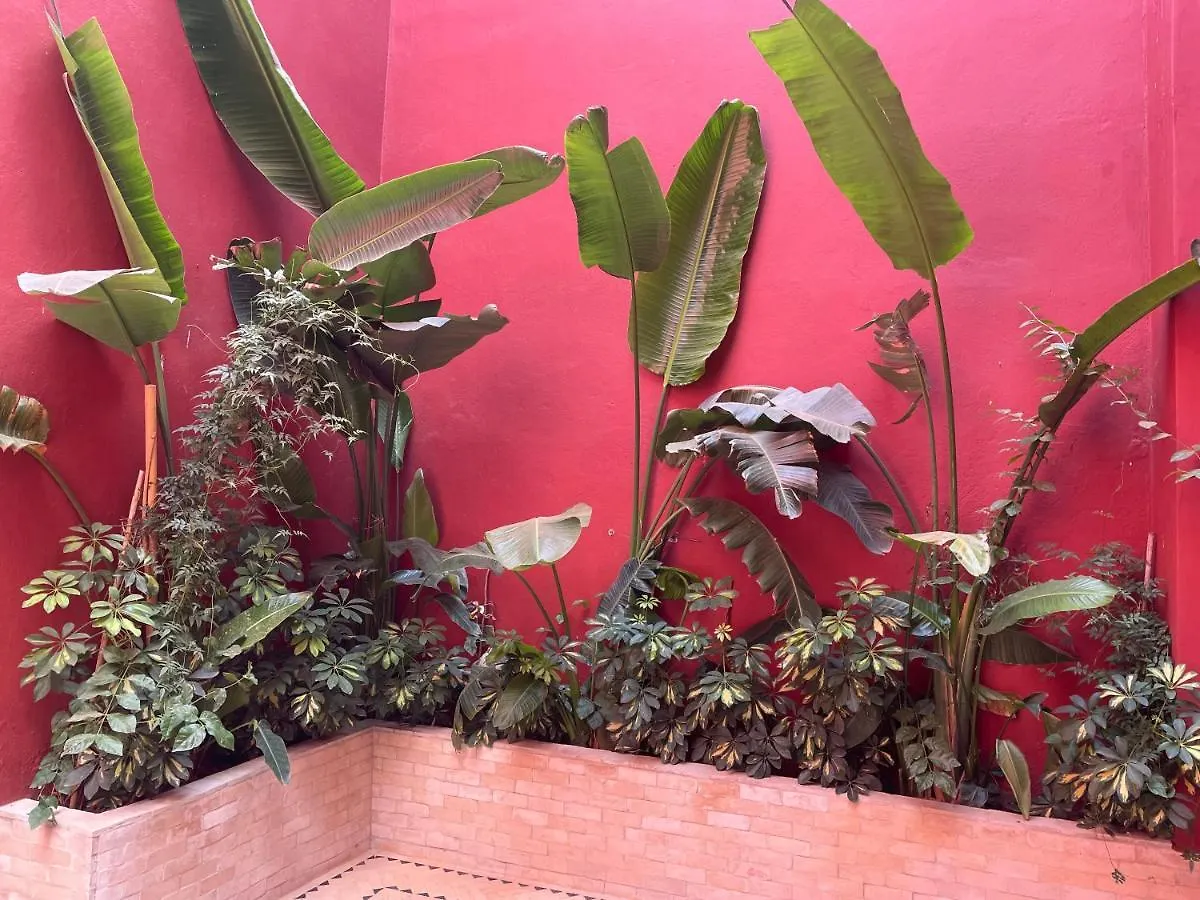 ***  Riad L'Escale De Marrakech Марракеш Марокко